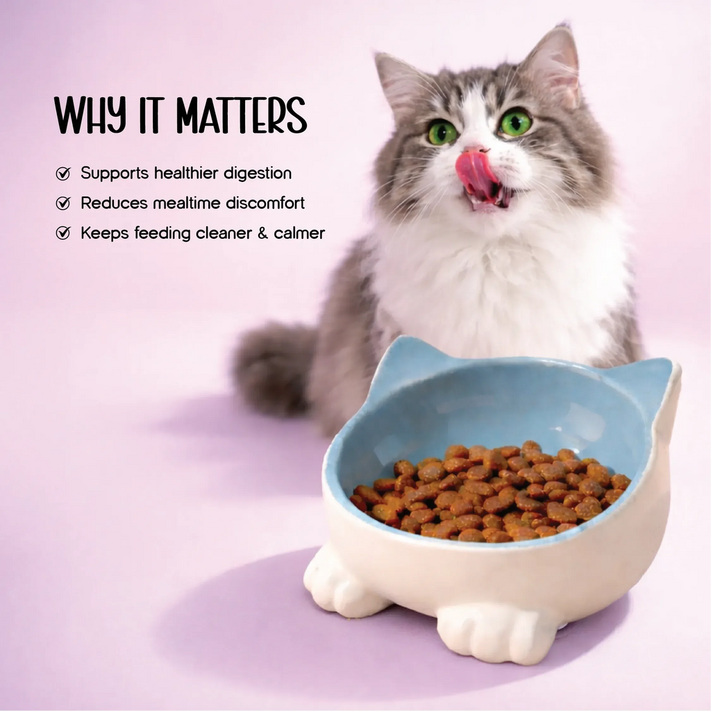 Mysa Tilt Bowl – Tilted Ceramic Feeding Bowl for Cats