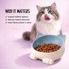Mysa Tilt Bowl – Tilted Ceramic Feeding Bowl for Cats