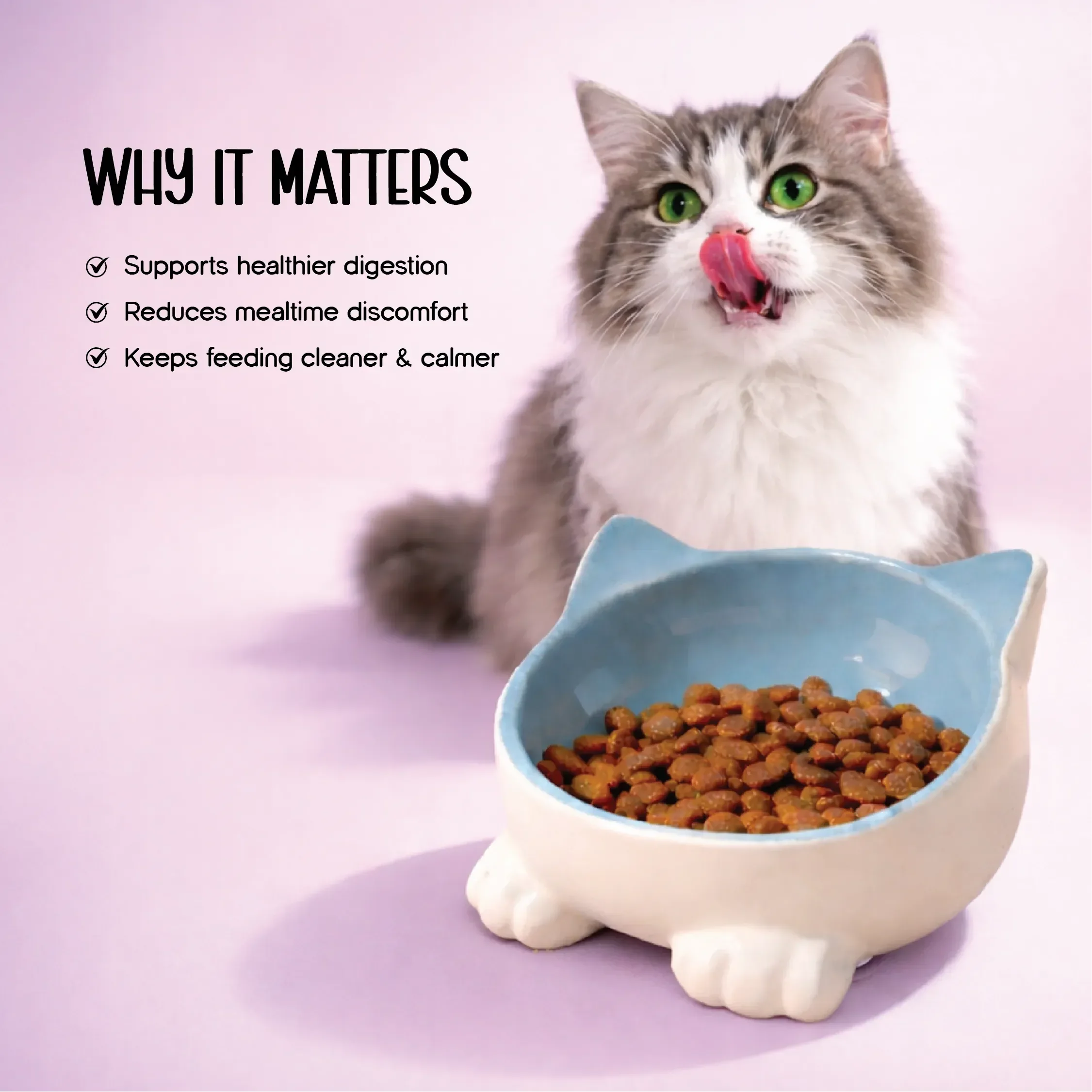 Mysa Tilt Bowl – Tilted Ceramic Feeding Bowl for Cats
