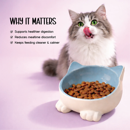 Mysa Tilt Bowl – Tilted Ceramic Feeding Bowl for Cats