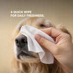 Daily Pet Wipes