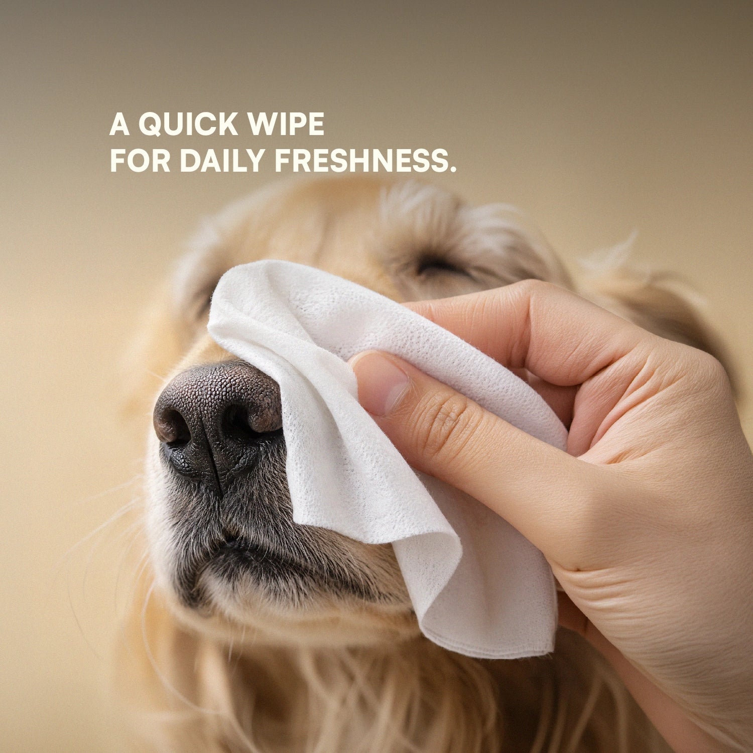 Daily Pet Wipes