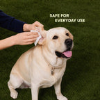 Daily Pet Wipes