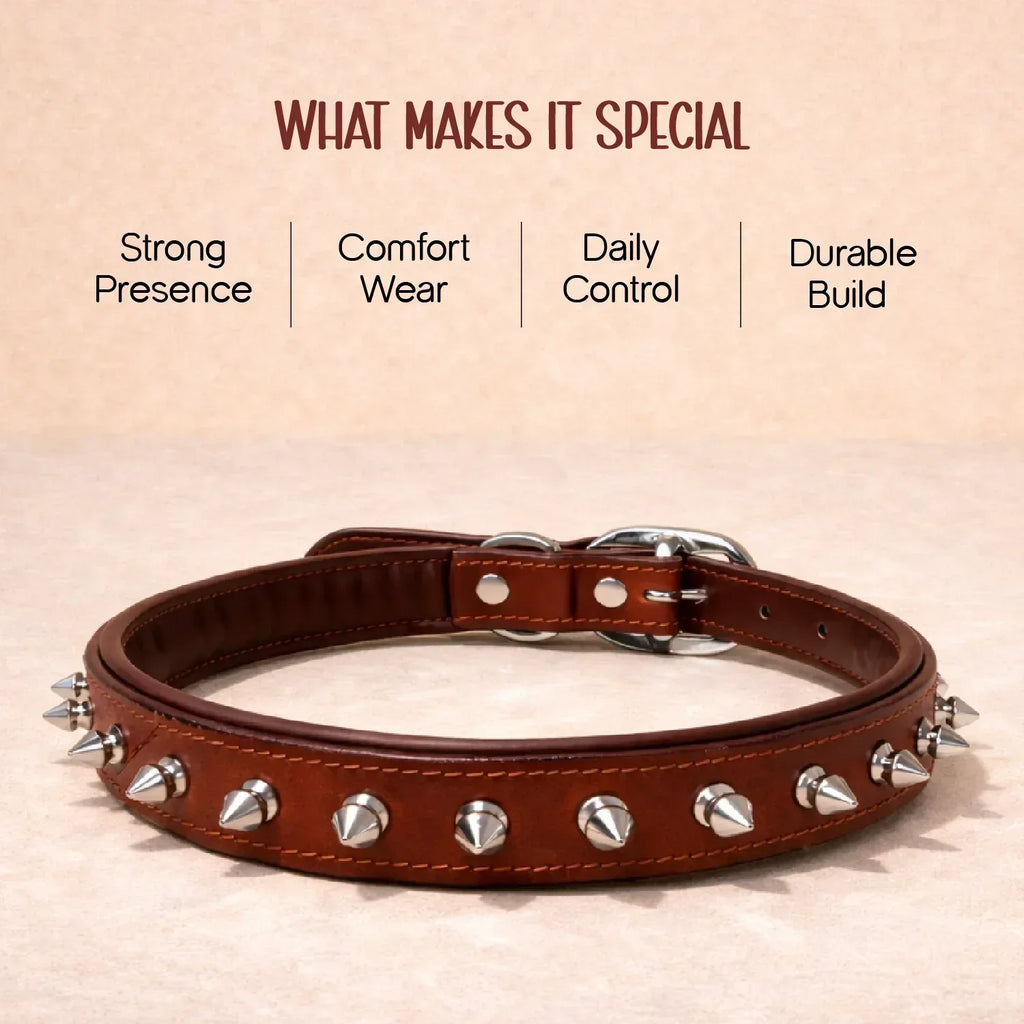 NobleSpike Collar - Soft Leather Comfort Collar for Dogs - Tilting Heads