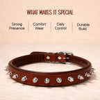 NobleSpike Collar - Soft Leather Comfort Collar for Dogs - Tilting Heads