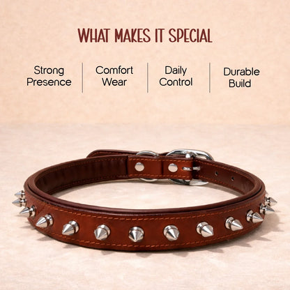 NobleSpike Collar - Soft Leather Comfort Collar for Dogs - Tilting Heads