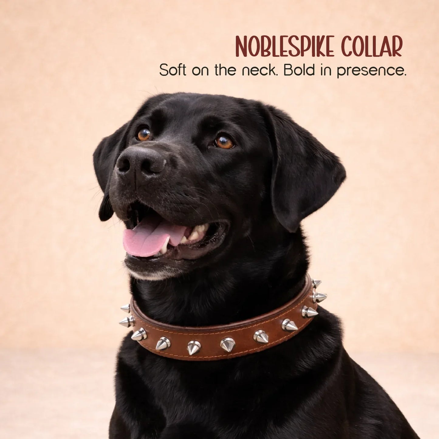 NobleSpike Collar - Soft Leather Comfort Collar for Dogs - Tilting Heads