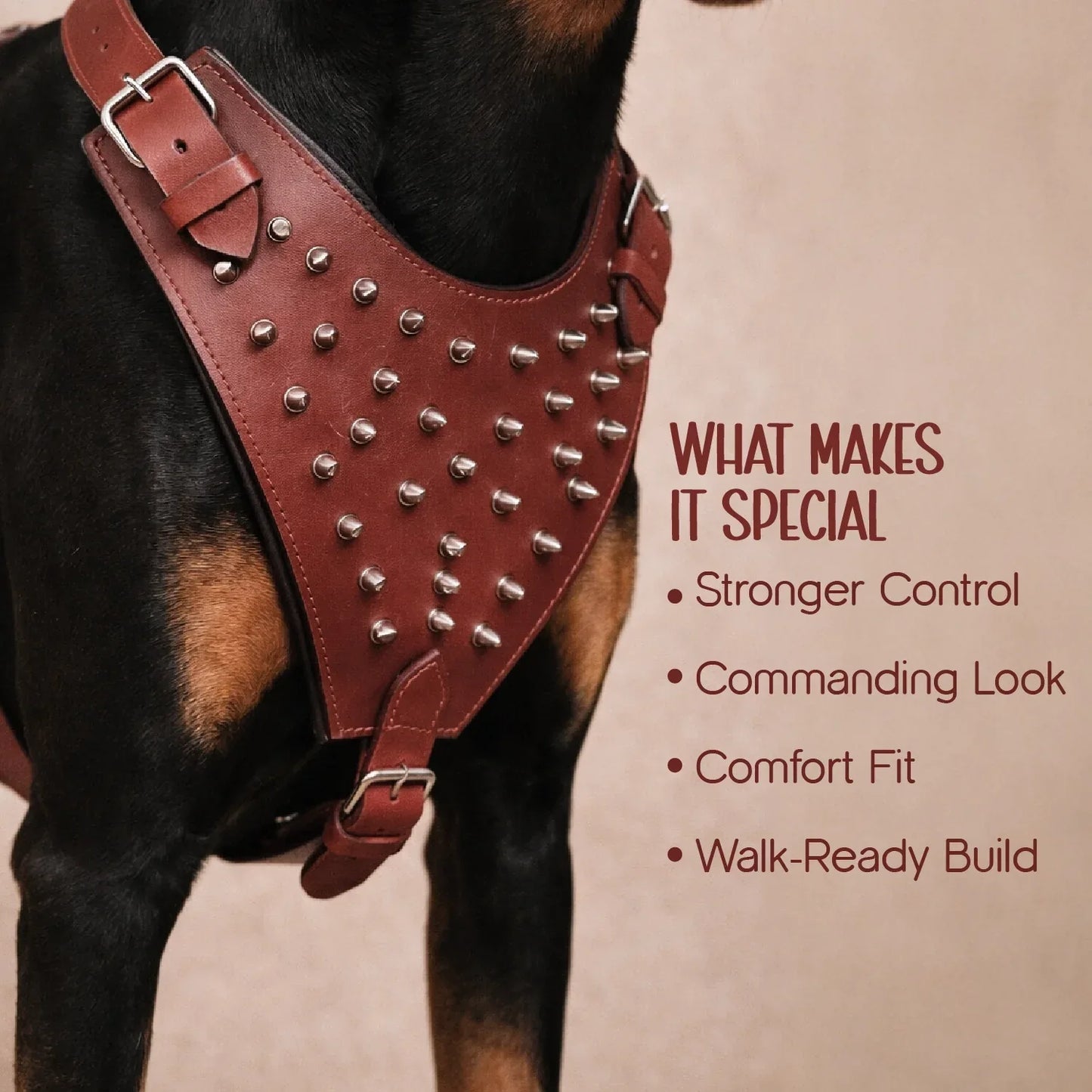 Stormborn Harness – Premium Leather Harness for Strong Dogs - Tilting Heads
