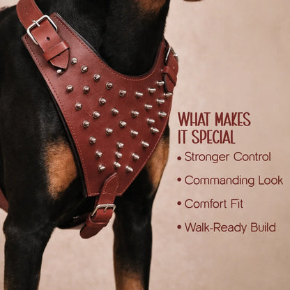 Stormborn Harness – Premium Leather Harness for Strong Dogs - Tilting Heads