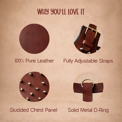 Stormborn Harness – Premium Leather Harness for Strong Dogs - Tilting Heads