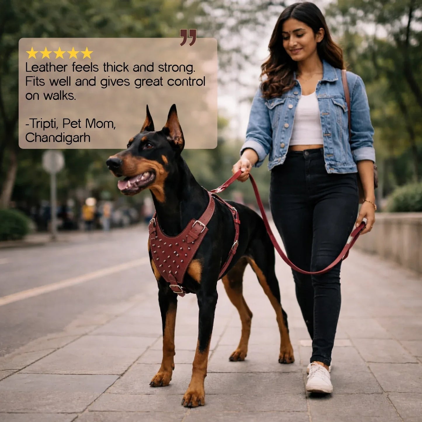 Stormborn Harness – Premium Leather Harness for Strong Dogs - Tilting Heads