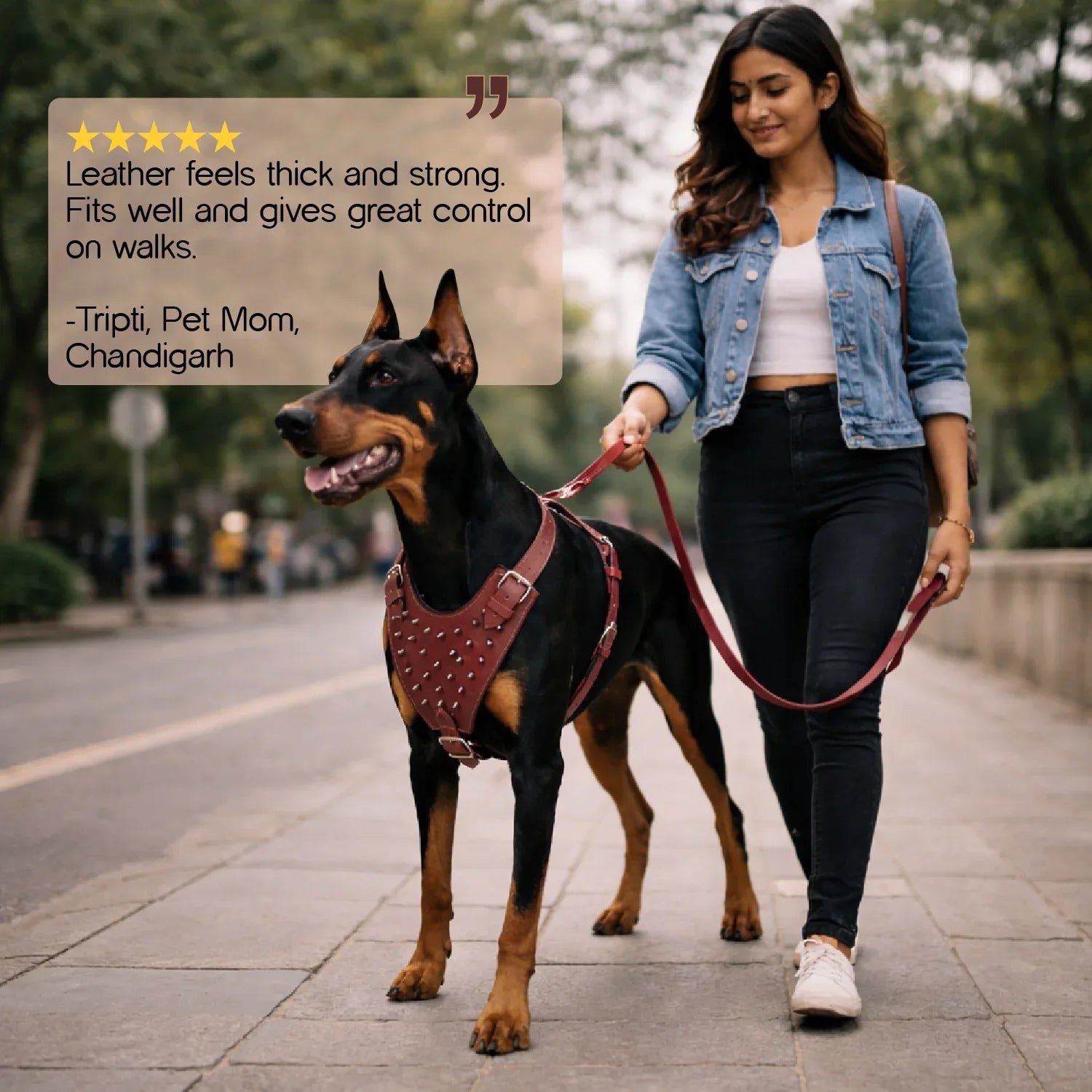 Stormborn Harness – Premium Leather Harness for Strong Dogs - Tilting Heads