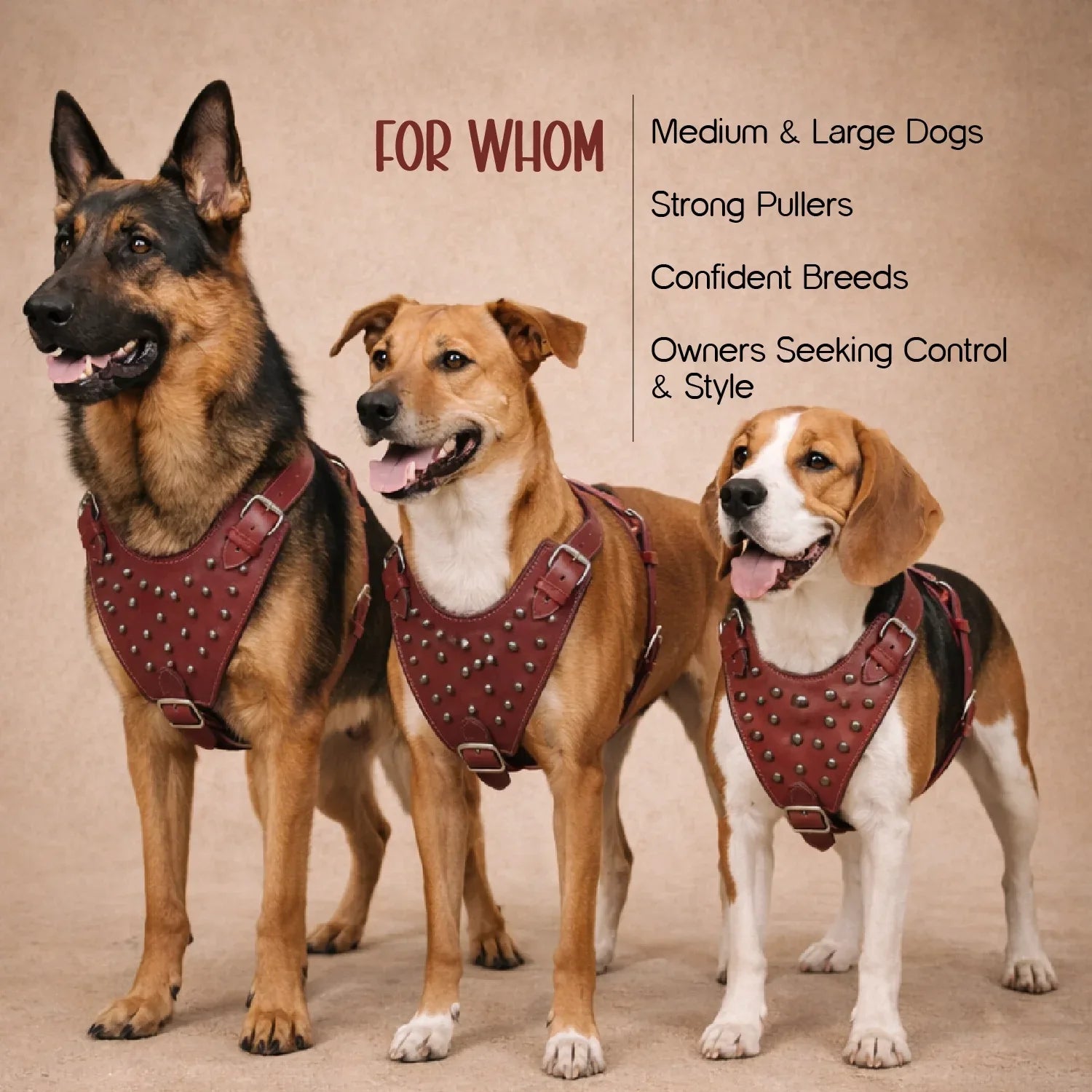 Stormborn Harness – Premium Leather Harness for Strong Dogs - Tilting Heads