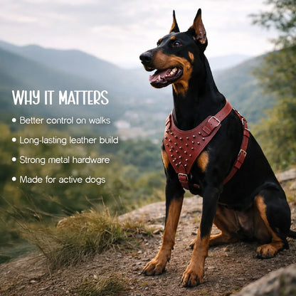 Stormborn Harness – Premium Leather Harness for Strong Dogs - Tilting Heads