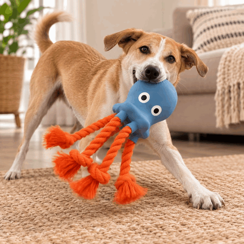 OctoSqueak Toy | Squeaky Rope Tug Toy for Dogs