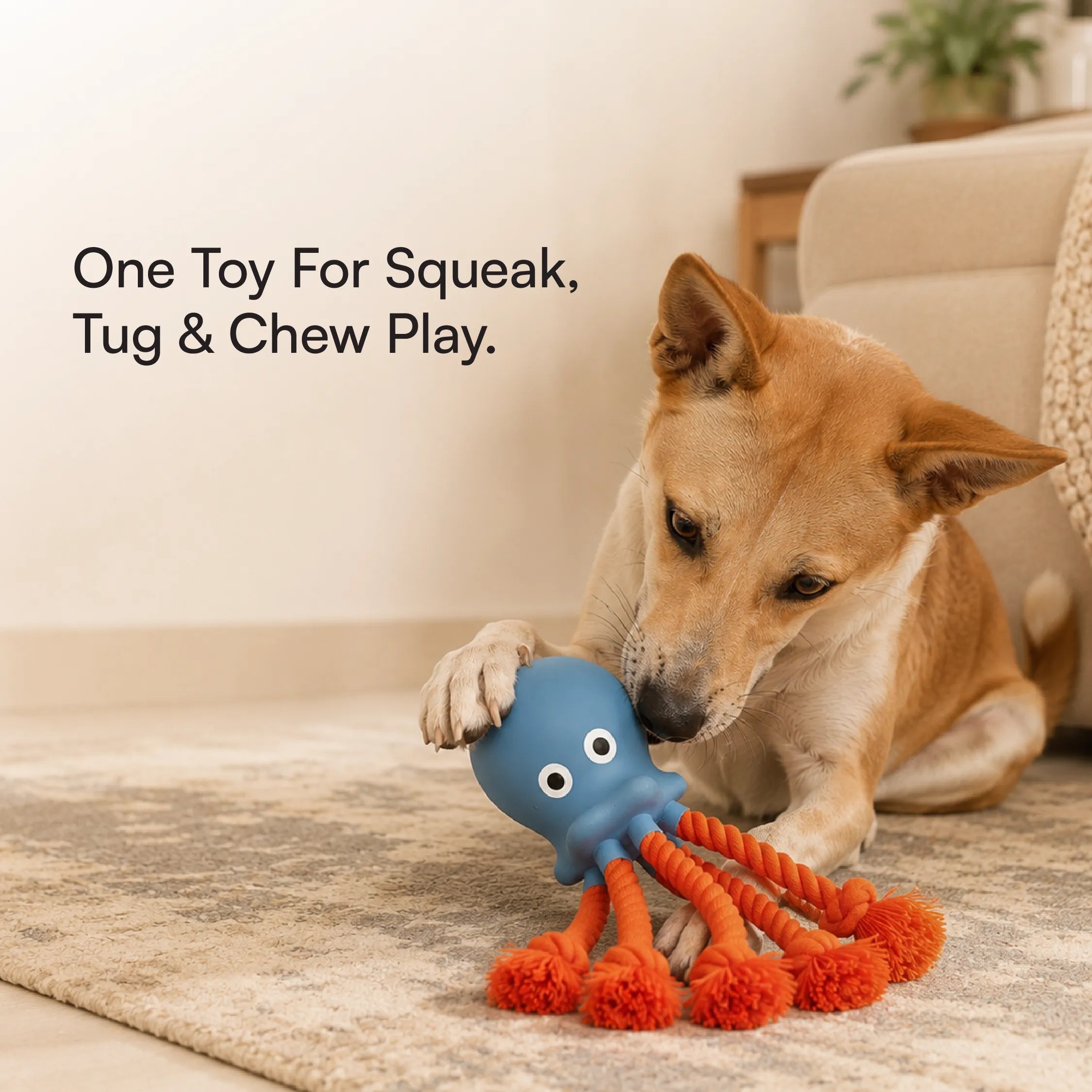 OctoSqueak Toy | Squeaky Rope Tug Toy for Dogs