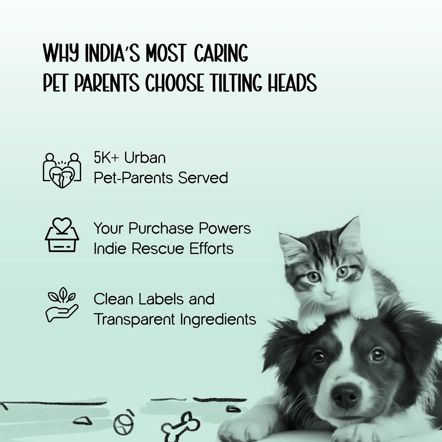 Puppy Homecoming Kit