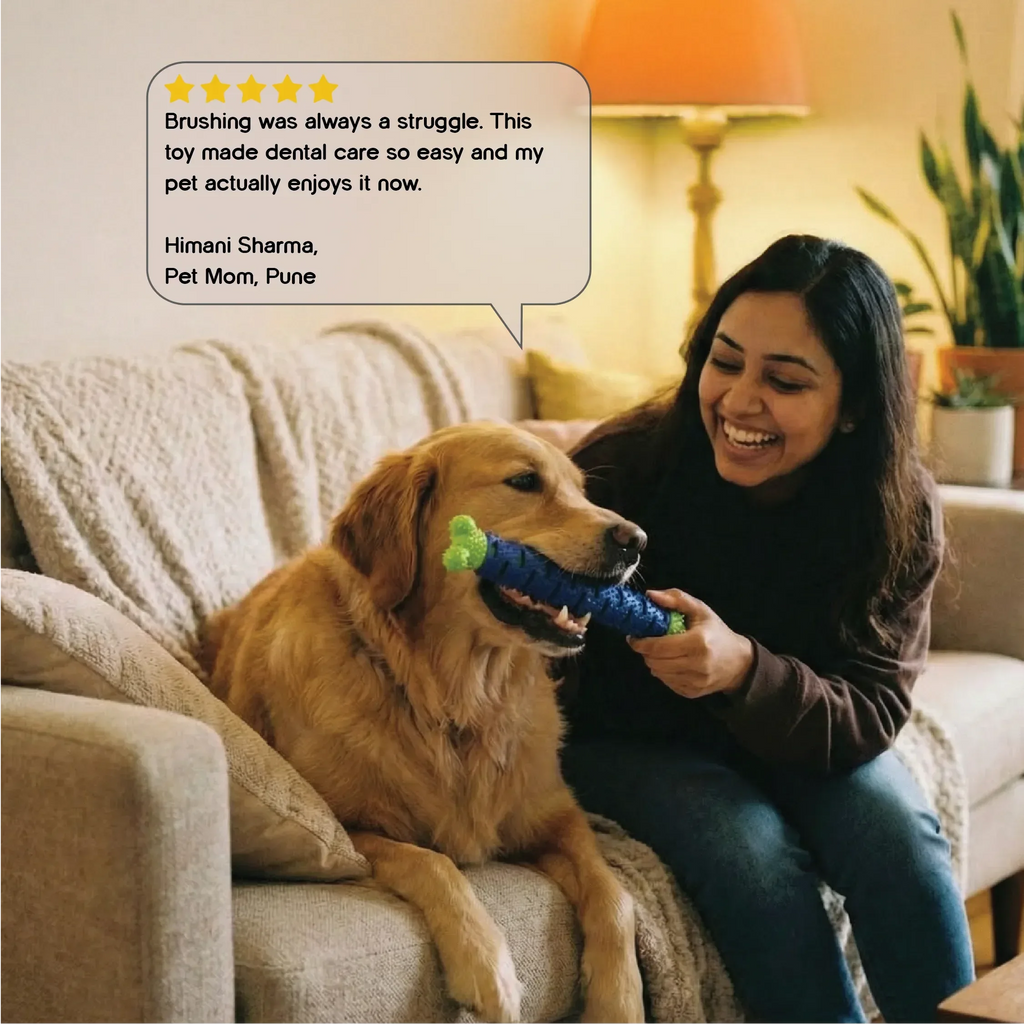 OralEase Chew Toy | Cleans Teeth, Massages Gums for Dogs & Cats