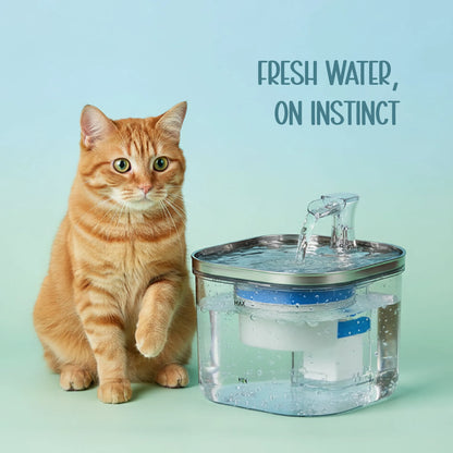 OxyFlow Fountain | Stainless-Steel Flowing Water Dispenser | Keeps Pets Hydrated & Healthy