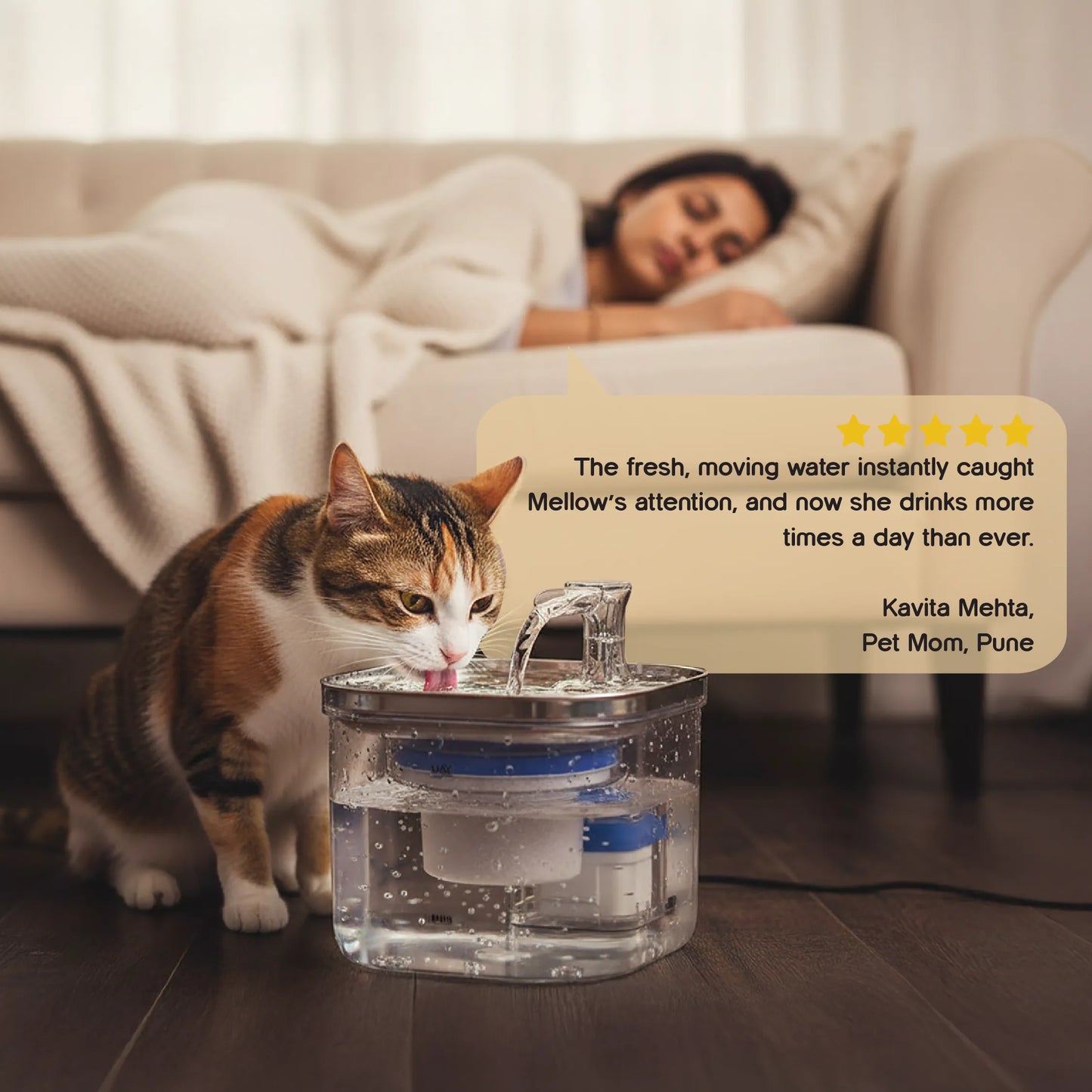 OxyFlow Fountain | Stainless-Steel Flowing Water Dispenser | Keeps Pets Hydrated & Healthy
