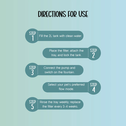 OxyFlow Fountain | Stainless-Steel Flowing Water Dispenser | Keeps Pets Hydrated & Healthy