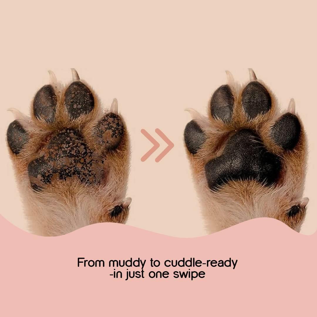 Daily Pet Wipes | 100 Pulls| Hypoallergenic, Eco-Friendly Cleaning Wipes for Dogs, Cats, Puppies & Kittens. - Tilting Heads