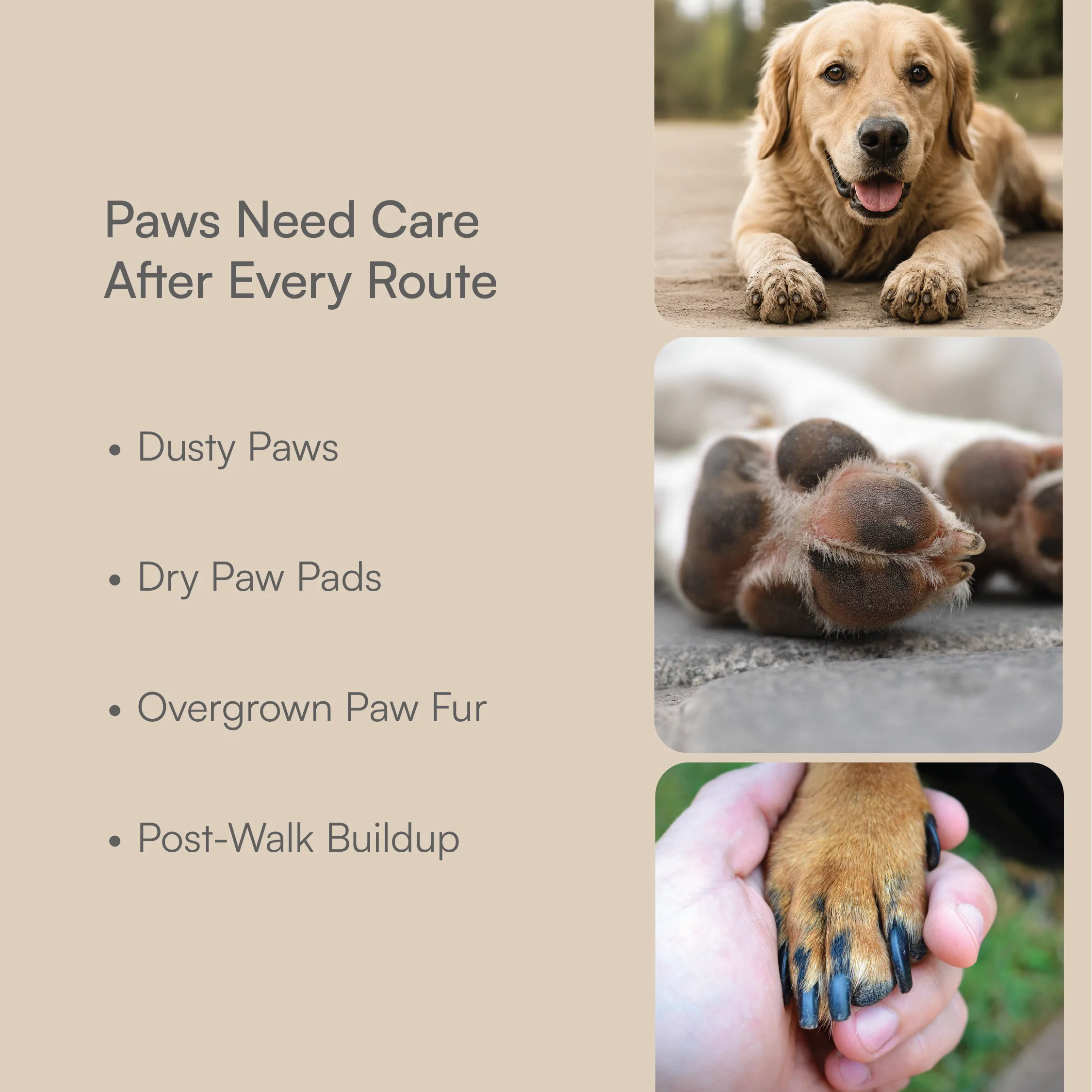 Paw Care Kit | Clean, Moisturize & Trim Paws After Walks | Complete Daily Paw Hygiene Set