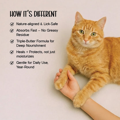 Paw Balm - Triple Butter Formula for Dogs & Cats | Lick Safe Paw Balm for Cracked & Dry Paws and Nose | Heals, Repairs & Moisturizes Paws, Elbows & Dry Itchy Nose (50 gms) - Tilting Heads