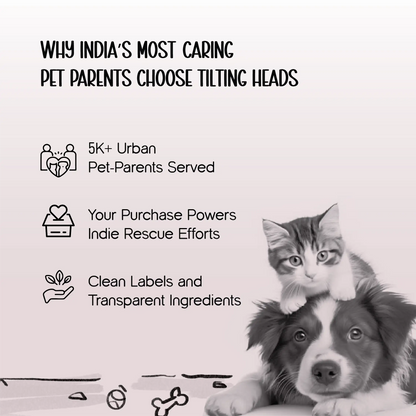Paw Balm – Triple-Butter Formula | Fast-Absorbing | Lick-Safe Protection