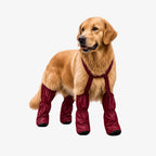 #maroon