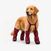 Pawveralls Suspender Boots