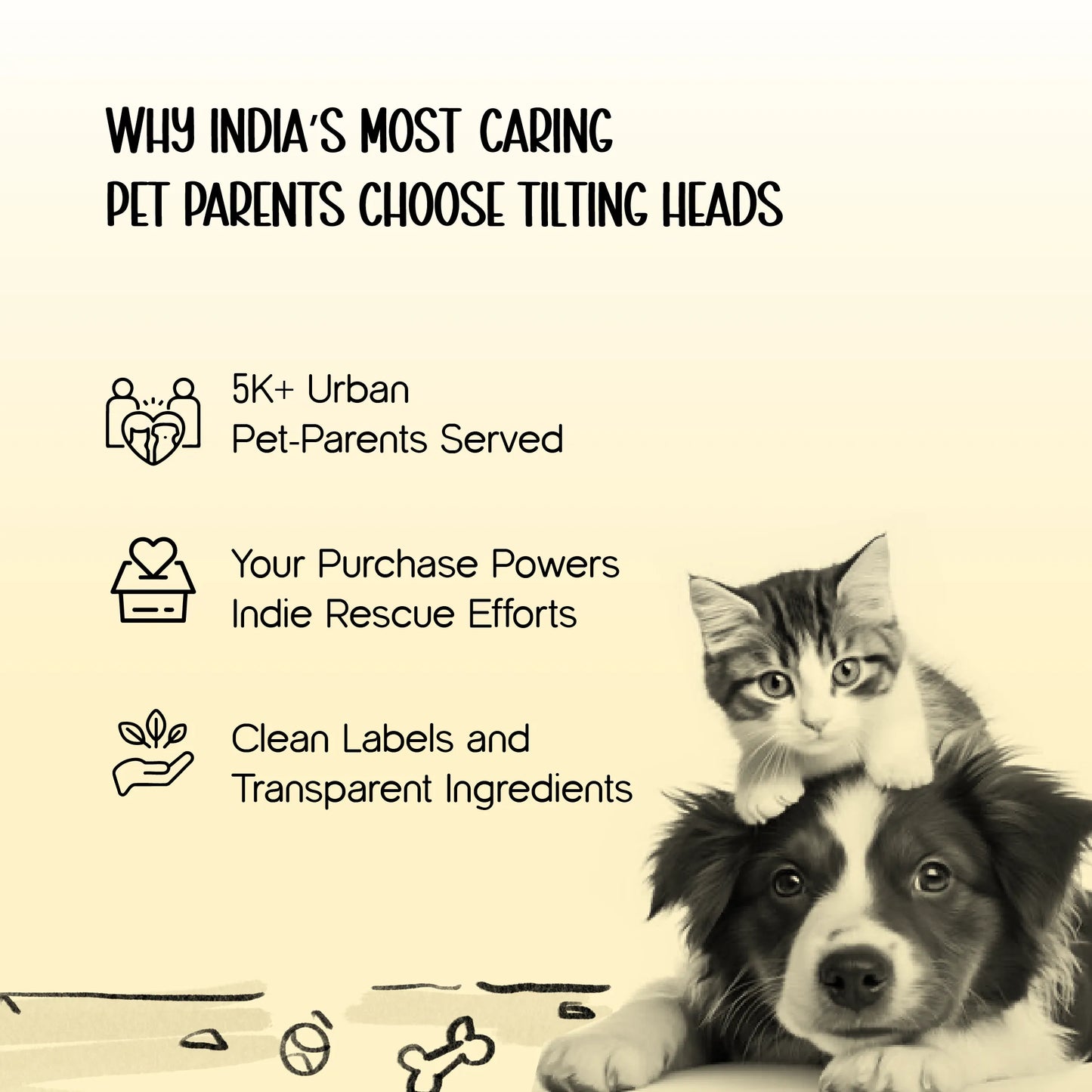 Pebble Pod | Plush Paw Bed | Washable Comfort for Cats & Small Dogs