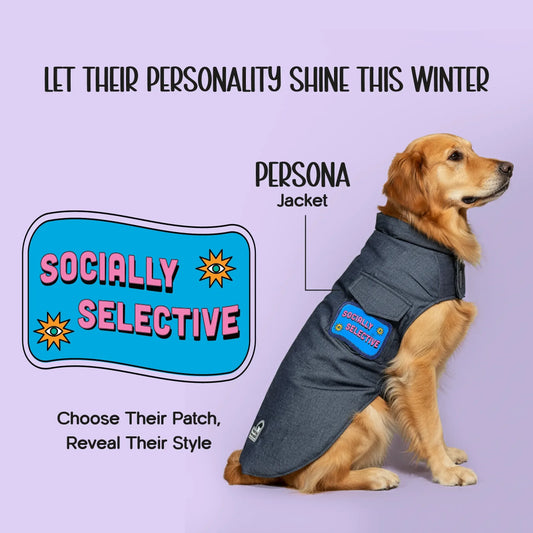 Persona Jacket | Winter Comfort Tailored to Your Pet’s Unique Personality | Denim Look | Soft Puffer Lining - Tilting Heads