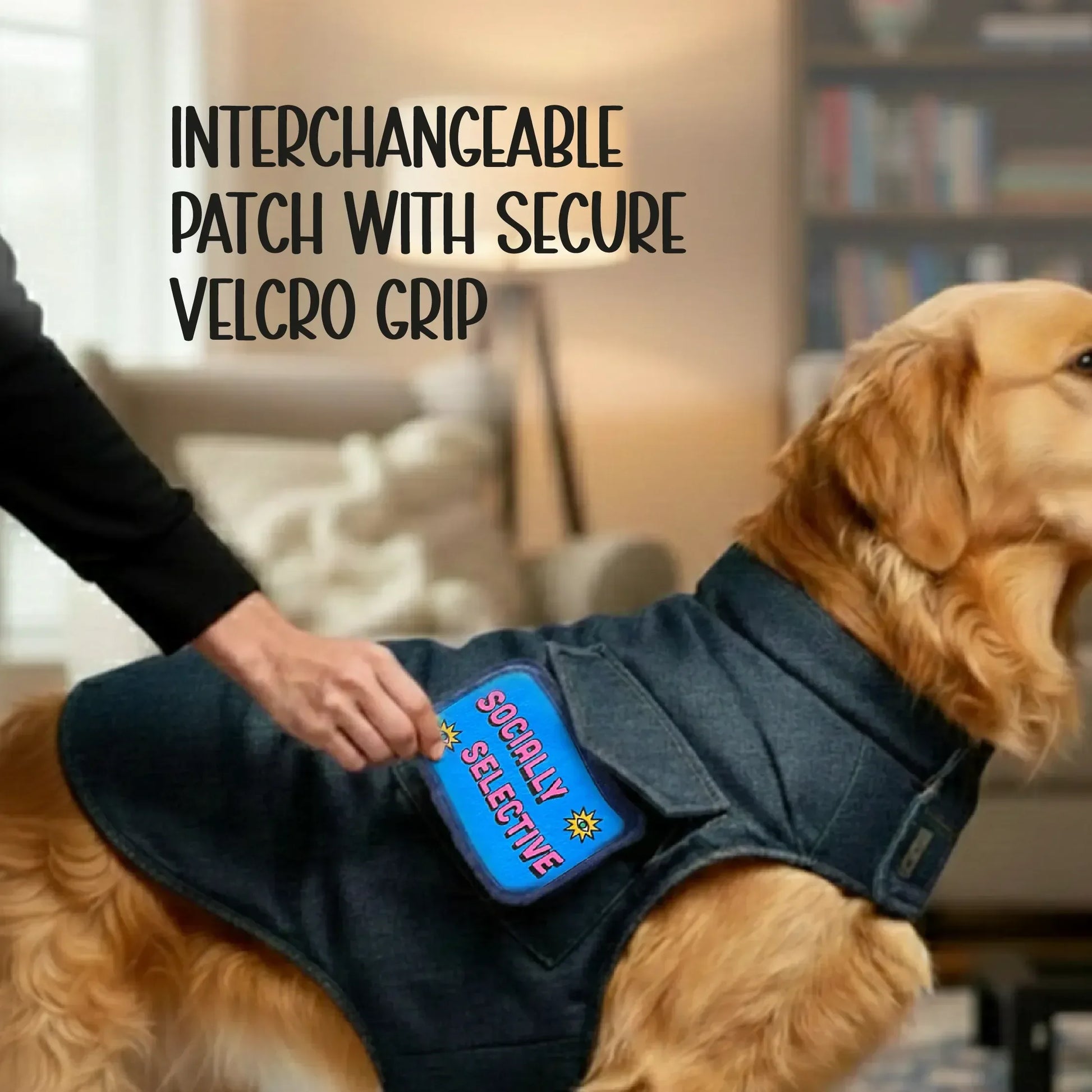 Persona Jacket | Winter Comfort Tailored to Your Pet’s Unique Personality | Denim Look | Soft Puffer Lining - Tilting Heads