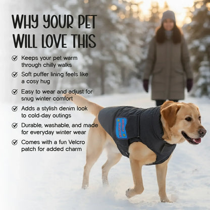Persona Jacket | Winter Comfort Tailored to Your Pet’s Unique Personality | Denim Look | Soft Puffer Lining - Tilting Heads