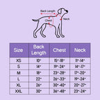 Persona Jacket | Winter Comfort Tailored to Your Pet’s Unique Personality | Denim Look | Soft Puffer Lining - Tilting Heads
