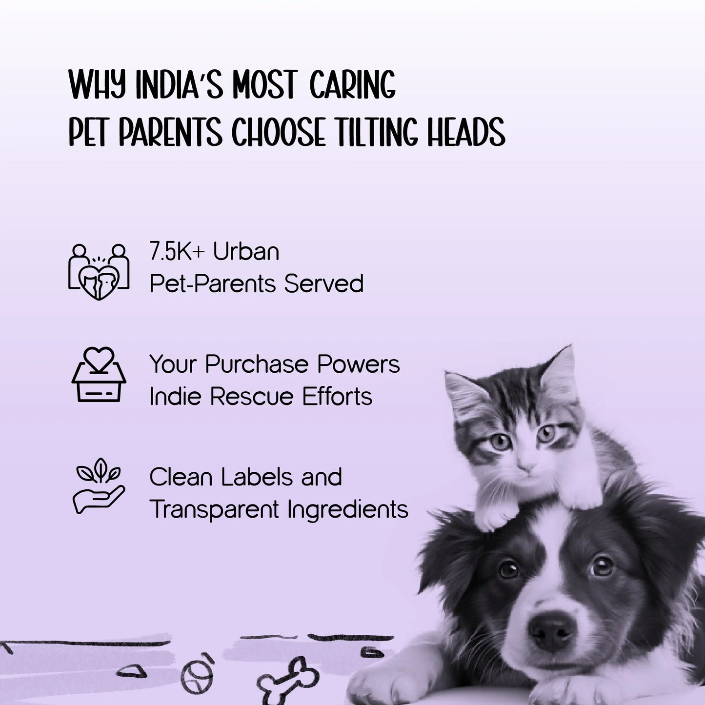 Persona Jacket | Winter Comfort Tailored to Your Pet’s Unique Personality | Denim Look | Soft Puffer Lining