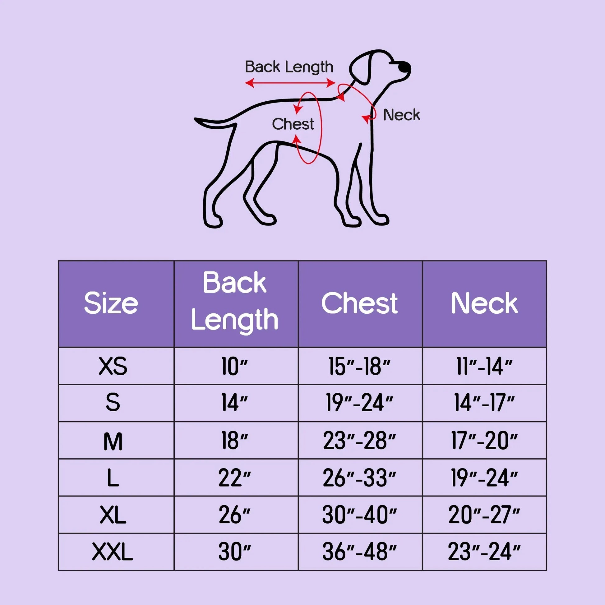 Persona Jacket | Winter Comfort Tailored to Your Pet’s Unique Personality | Denim Look | Soft Puffer Lining - Tilting Heads