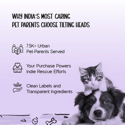 Persona Jacket | Winter Comfort Tailored to Your Pet’s Unique Personality | Denim Look | Soft Puffer Lining