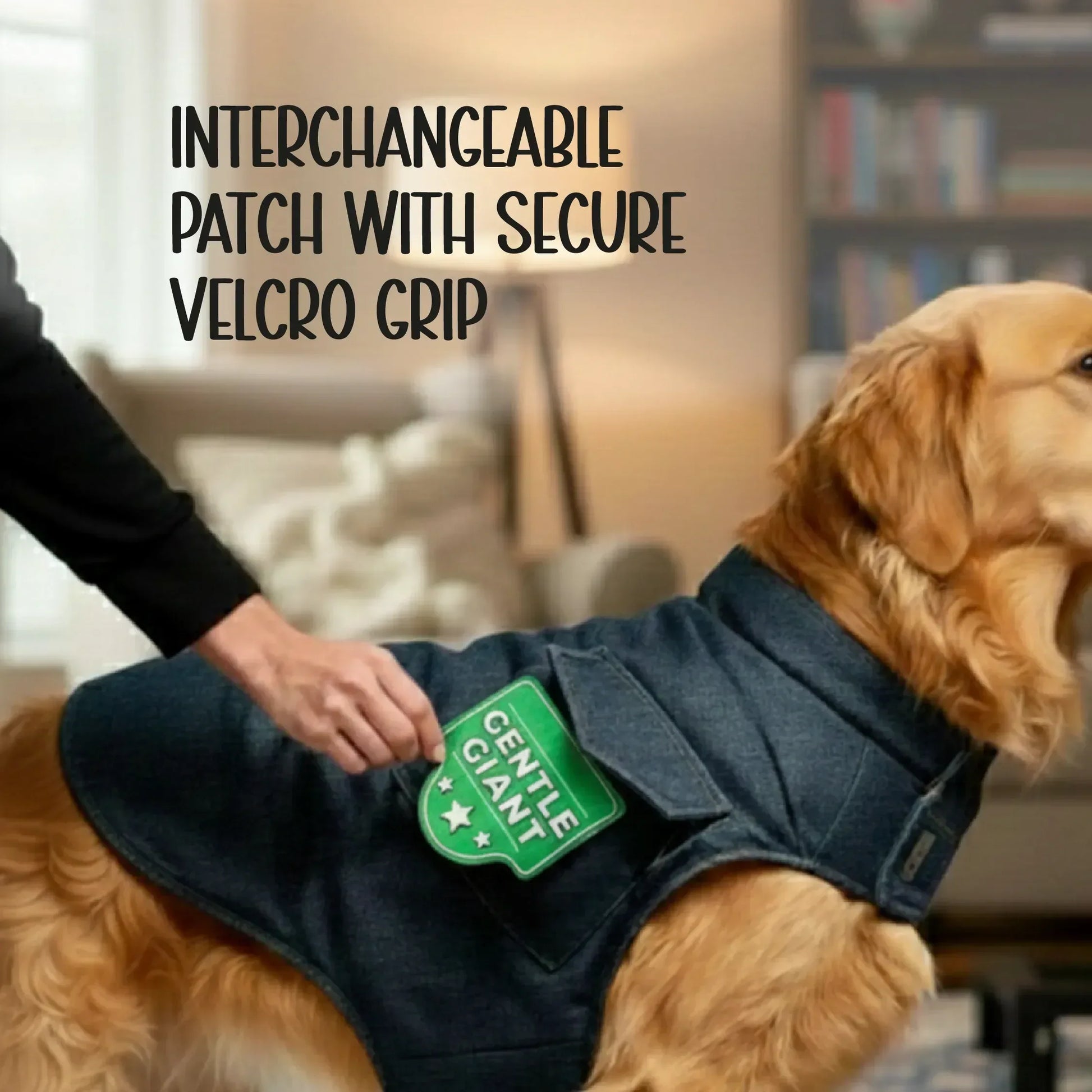 Persona Jacket | Winter Comfort Tailored to Your Pet’s Unique Personality | Denim Look | Soft Puffer Lining - Tilting Heads