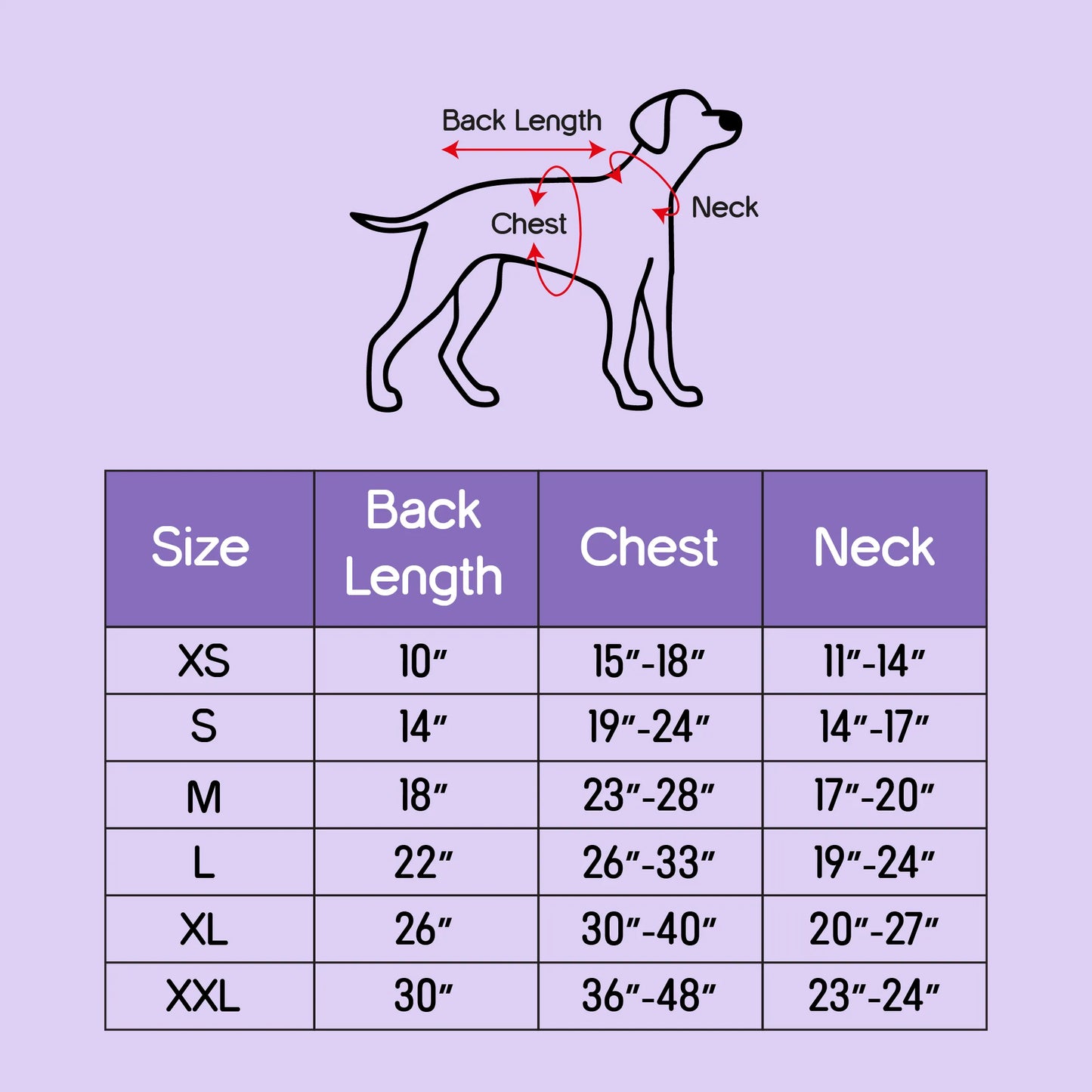 Persona Jacket | Winter Comfort Tailored to Your Pet’s Unique Personality | Denim Look | Soft Puffer Lining