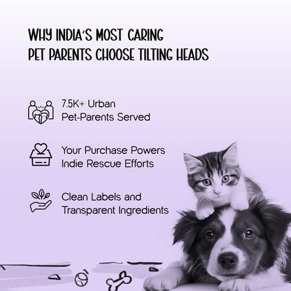 Persona Jacket | Winter Comfort Tailored to Your Pet’s Unique Personality | Denim Look | Soft Puffer Lining