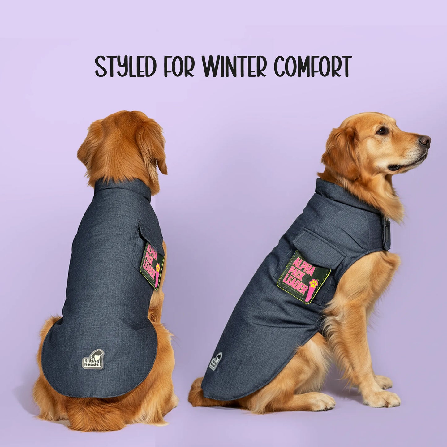 Persona Jacket | Winter Comfort Tailored to Your Pet’s Unique Personality | Denim Look | Soft Puffer Lining