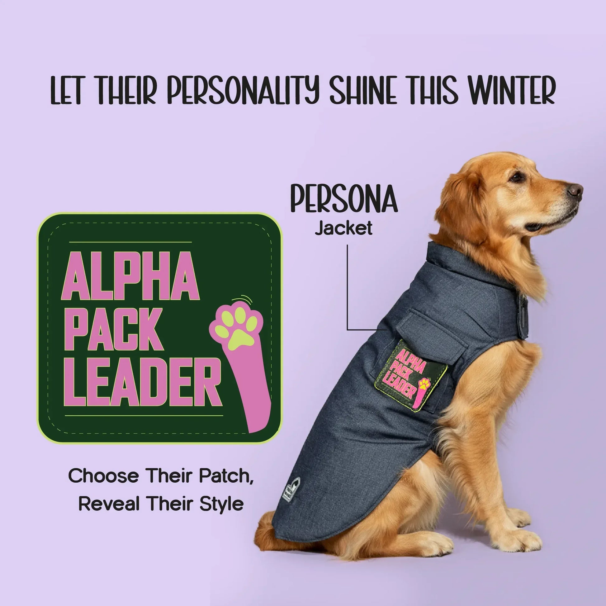 Persona Jacket | Winter Comfort Tailored to Your Pet’s Unique Personality | Denim Look | Soft Puffer Lining - Tilting Heads