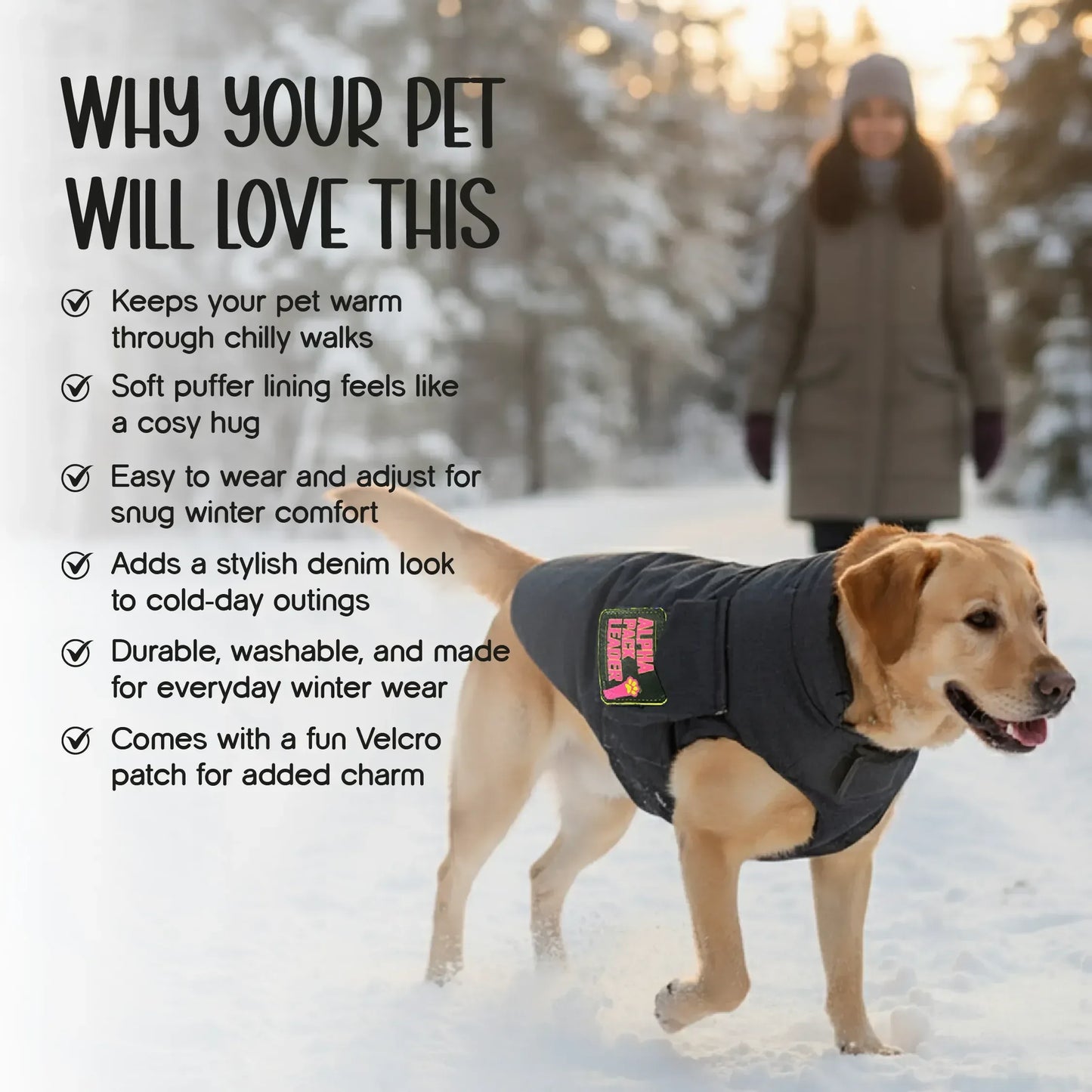 Persona Jacket | Winter Comfort Tailored to Your Pet’s Unique Personality | Denim Look | Soft Puffer Lining - Tilting Heads