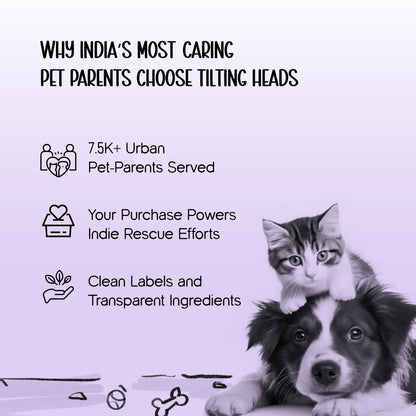 Persona Jacket | Winter Comfort Tailored to Your Pet’s Unique Personality | Denim Look | Soft Puffer Lining