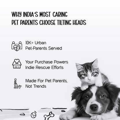 PetCore Satchel | With Matching Leash | Their Own Backpack | Easy Walk Control