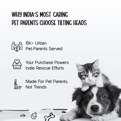 PetCore Satchel | With Matching Leash | Their Own Backpack | Easy Walk Control