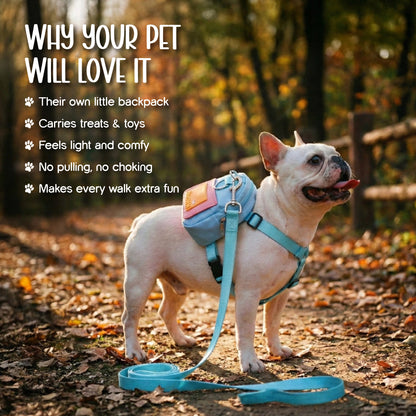PetCore Satchel | With Matching Leash | Their Own Backpack | Easy Walk Control