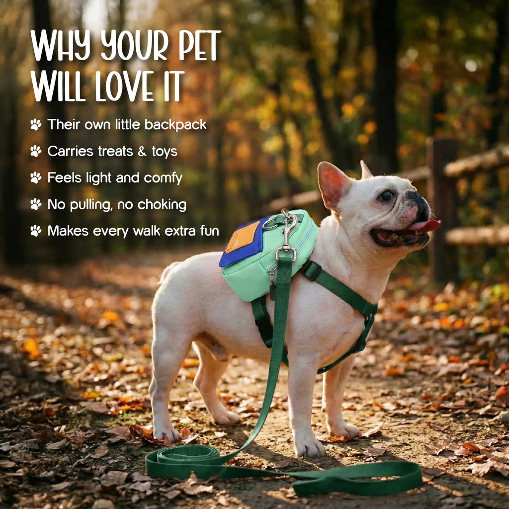 PetCore Satchel | With Matching Leash | Their Own Backpack | Easy Walk Control - Tilting Heads